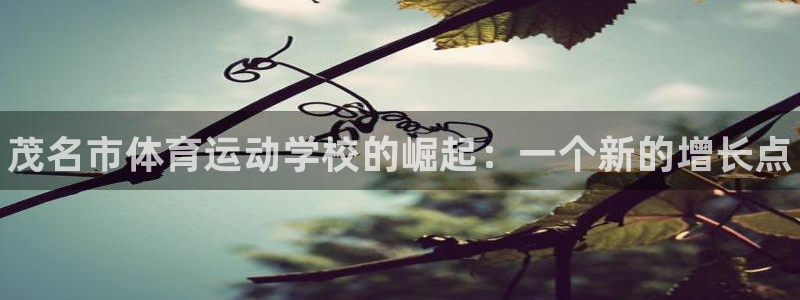 欧亿体育官方正版app代理：茂名市体育运动学校的崛起