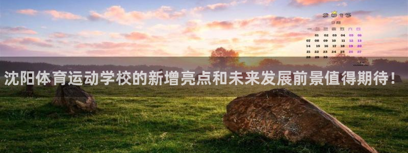 oety欧亿体育官网下载平台假的吗是真的吗
