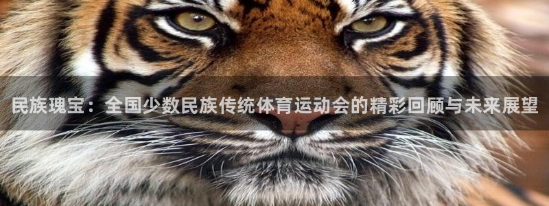 oety欧亿体育官网下载平台是正规平台吗安全吗：民族