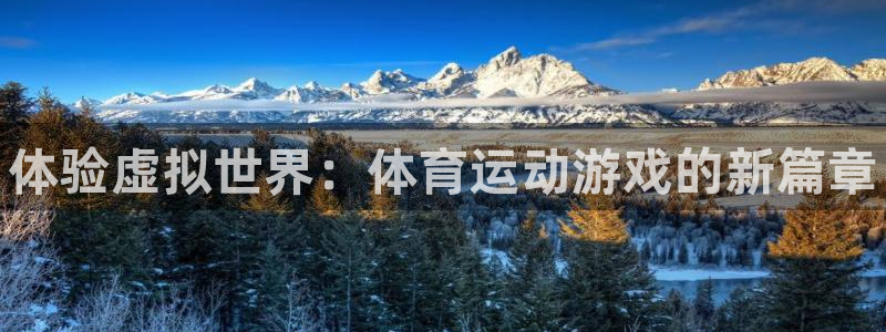 欧亿体育官方正版app五金厂：体验虚拟世界：体育运动