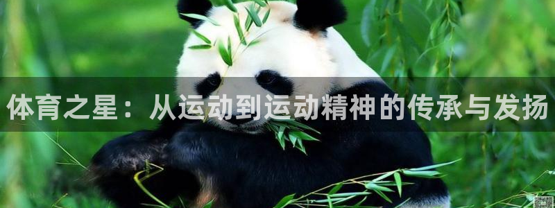 欧亿体育官方正版app娱乐首页官网下载