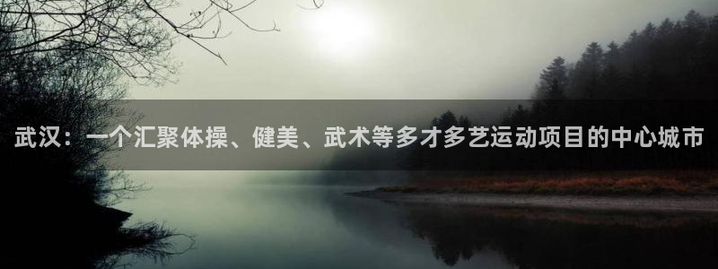 海南oety欧亿体育官网下载：武汉：一个汇聚体操、健