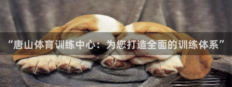 欧亿体育官方正版app开户