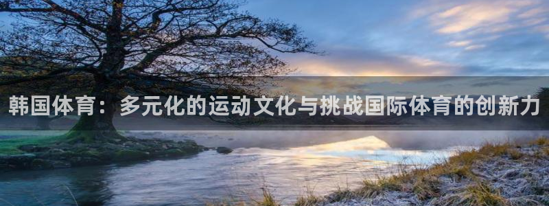 欧亿体育官方正版app代理：韩国体育：多元化的运动文化与挑战
