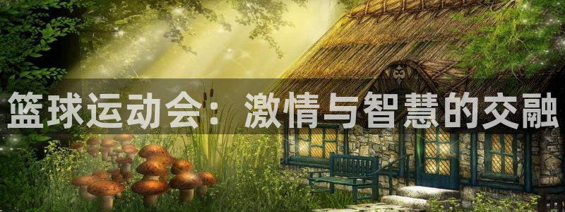 oety欧亿体育官网下载平台注册要钱吗安全吗：篮球运动会：激