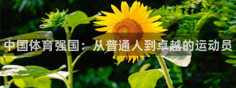 oety欧亿体育官网下载平台注册流程图：中国体育强国：从普通