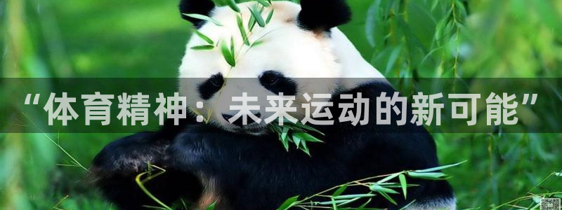 欧亿体育官方正版app开户：“体育精神：未来运动的新可能”