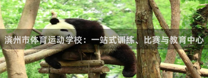 oety欧亿体育官网下载平台注册：滨州市体育运动学校：一站式