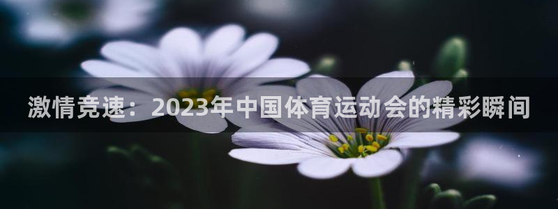 欧亿体育官方正版app娱乐代理怎么样