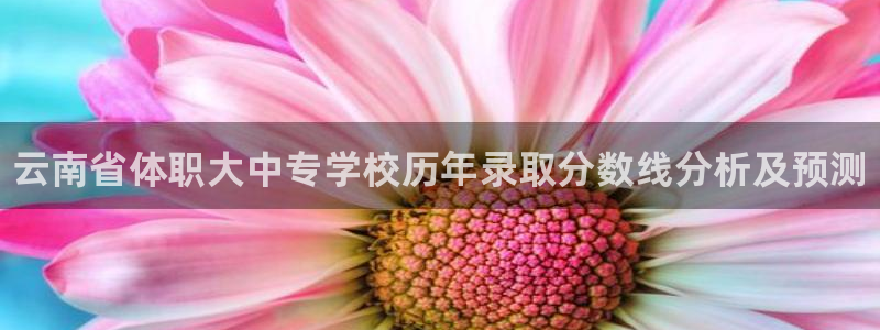 oety欧亿体育官网下载平台是正规平台吗知乎：云南省
