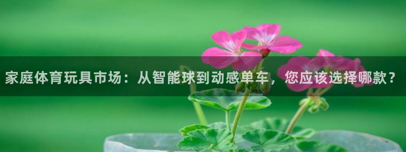 oety欧亿体育官网下载开户：家庭体育玩具市场：从智能球到动