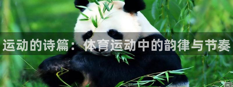 oety欧亿体育官网下载：运动的诗篇：体育运动中的韵律与节奏