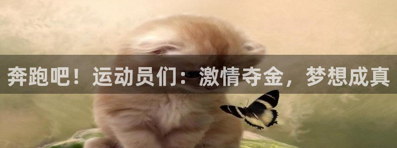 海南oety欧亿体育官网下载：奔跑吧！运动员们：激情夺金，梦