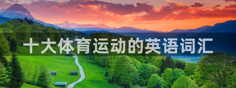 oety欧亿体育官网下载平台注册要钱吗安全吗：十大体育运动的